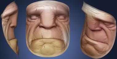 3D модель Портрет Воина (STL)
